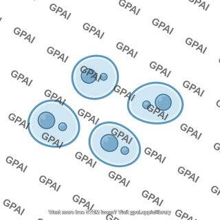 Trypanosomes amastigote