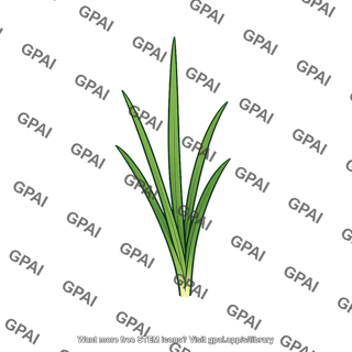 Grass seedling