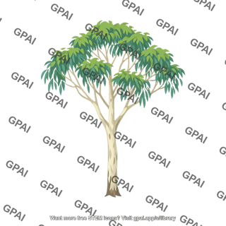 Eucalyptus tree