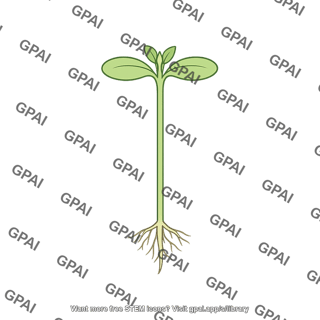 Plant seedling