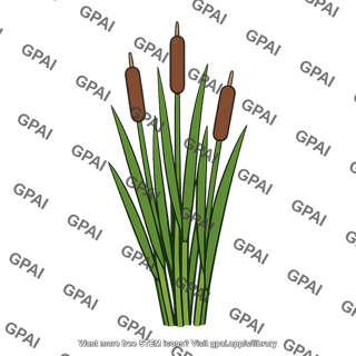 Wetland plant