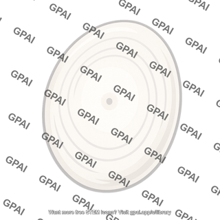 Starch granule