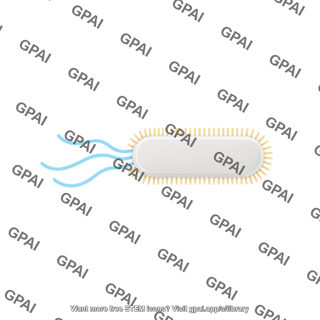 Phage display blank