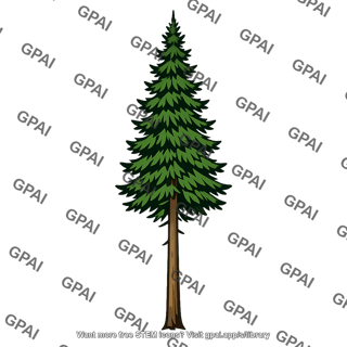 Boreal conifer