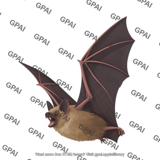 Bat little brown bat myotis lucifugus