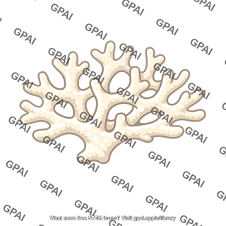 Calcium carbonate skeleton