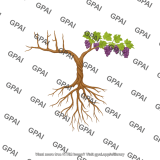 Grape vines half with roots