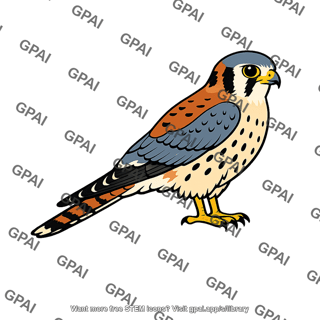 American kestrel