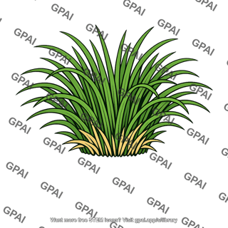Perennial grass
