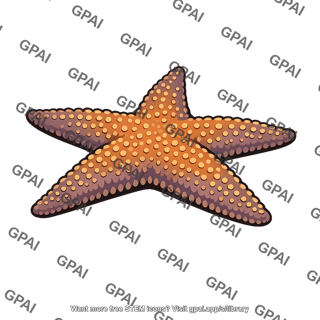 Sea star