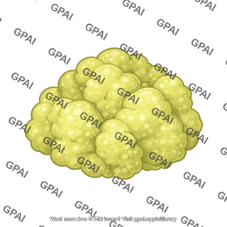 Plant callus
