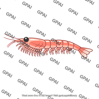 Krill