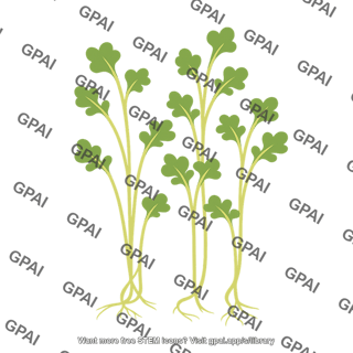 Kale microgreens