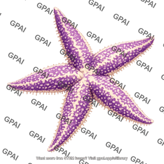 Nothern pacific seastar asterias amurensis