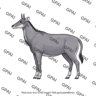 Nilgai boselaphus tragocamelus