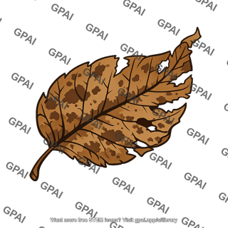 Leaf decaying