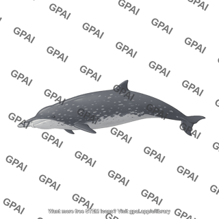Blainville s beaked whale mesoplodon densirostris male
