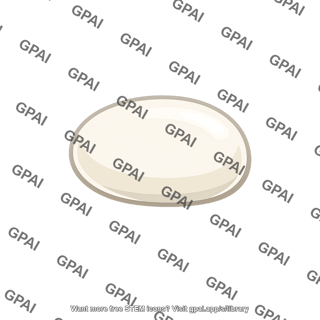 Bruchid beetle egg
