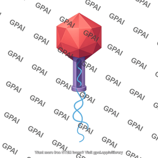 Bacteriophage capsid 2. processed procapsid