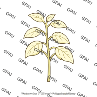 Plant chlorophyll deficient