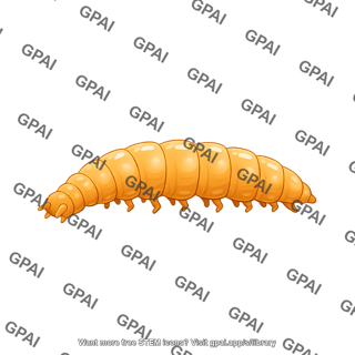 Drosophila larvae