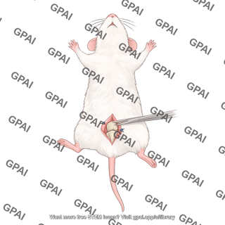 Mouse supine knee surgery