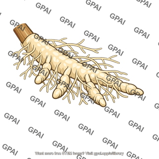 Plant root ectomycorrhizal