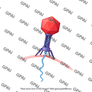 Bacteriophage podoviridae injecting
