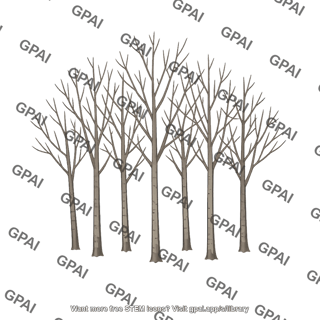 Young deciduous forest winter