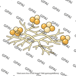 G geosporum