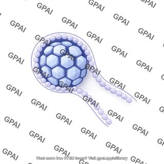 Viral envelope budded