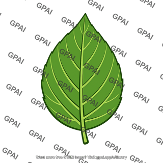 Leaf tissue leaf blade