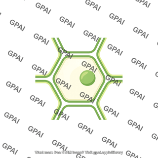 Plant cell hexagon print