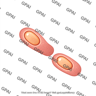 Spore forming bacterium 2