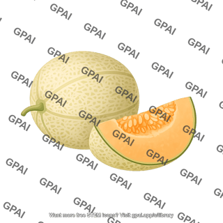 Cantaloupe