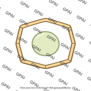 Root cortex cell