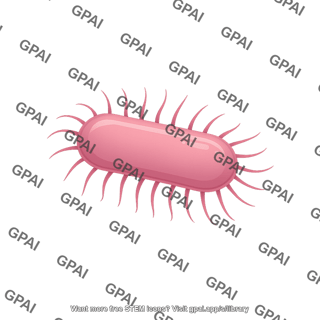 Bacillus pili