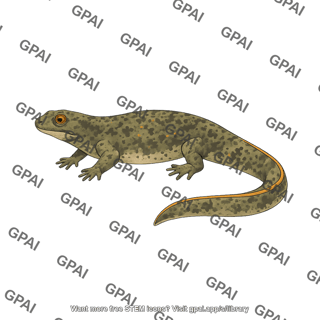 Spanish ribbed newt pleurodeles waltl