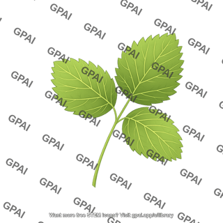 Strawberry plant mature leaves
