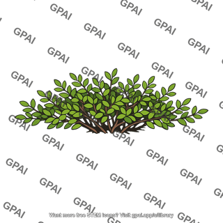 Sand cherry