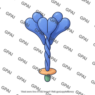 Coronavirus s spike glycoprotein