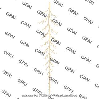 Plant root fine