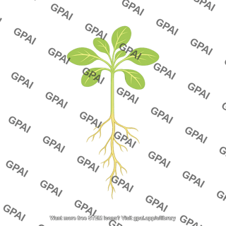 Arabidopsis seedling with roots