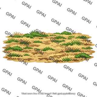 Abandoned agricultural field