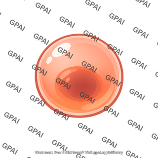 Salmon egg