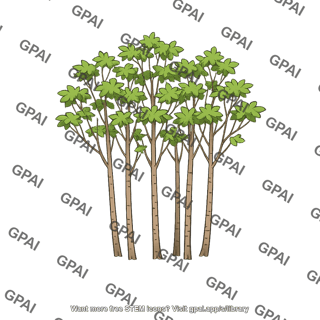 Young deciduous forest
