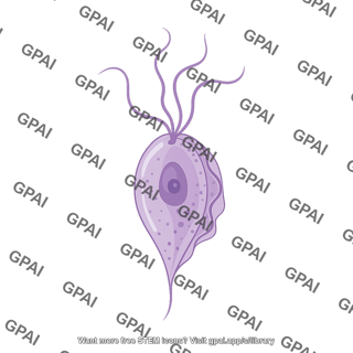 Trichomonas vaginalis