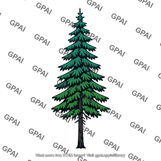 Black spruce