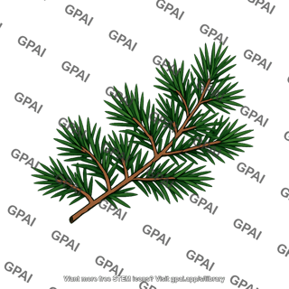 Evergreen needle foliage