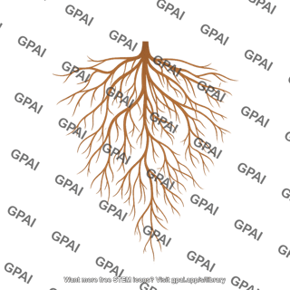Roots fibrous 1